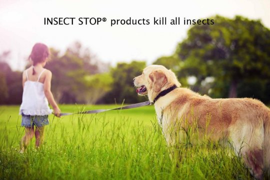 INSECT STOP® products kill all insects