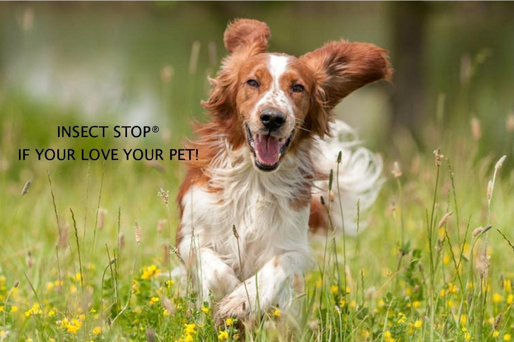 INSECT STOP® - If you love your pet!