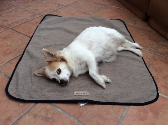 Hunde tæppe. 85 x 65 cm.
